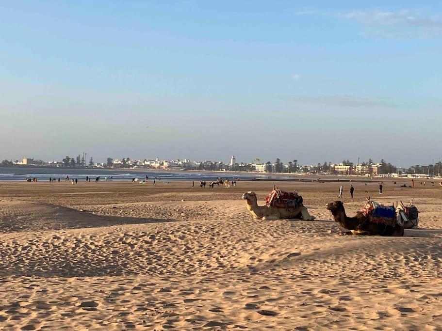 Dar Aya Essaouira Lägenhet Exteriör bild