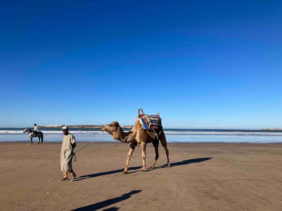 Dar Aya Essaouira Lägenhet Exteriör bild