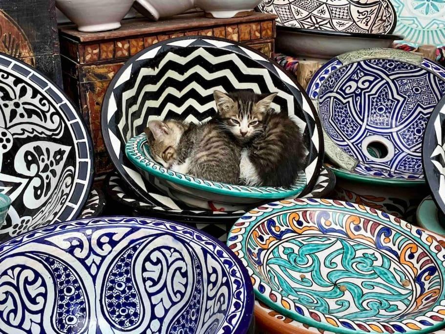 Dar Aya Essaouira Lägenhet Exteriör bild